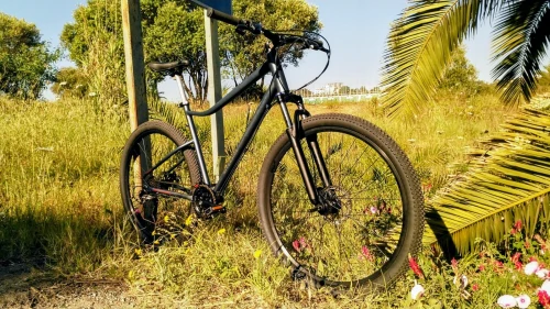 VTT 29" Pouces Cadre Taille L Roues 29x2.25