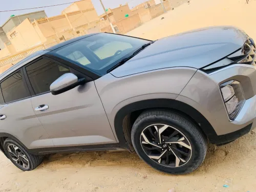 Hyundai Crita 2024 