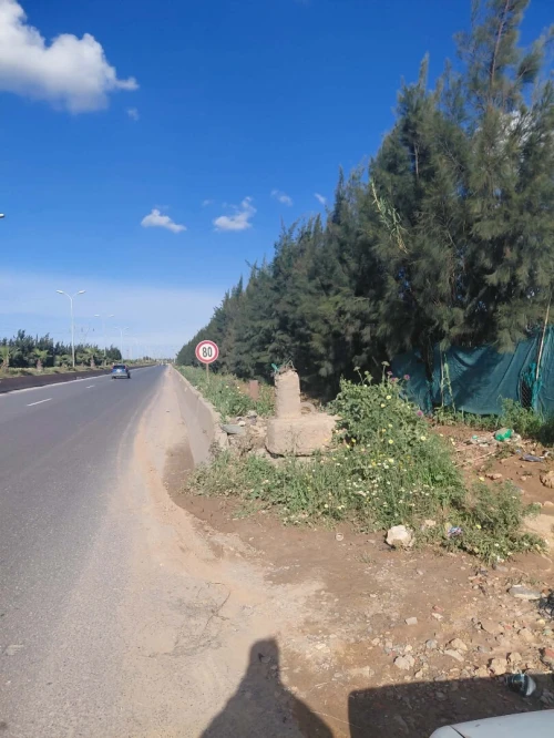 Vente Terrain Blida Meftah