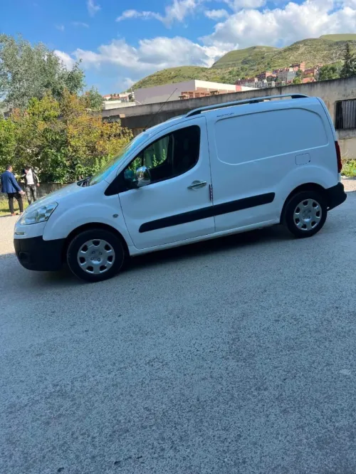Peugeot Partner 2015 b9