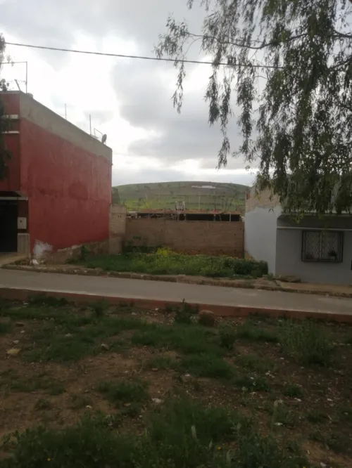 Vente Terrain Aïn Témouchent Ain kihal