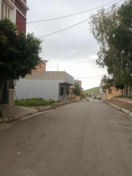 Vente Terrain Aïn Témouchent Ain kihal