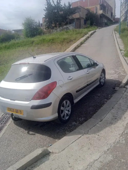 308 Pijo 2008 