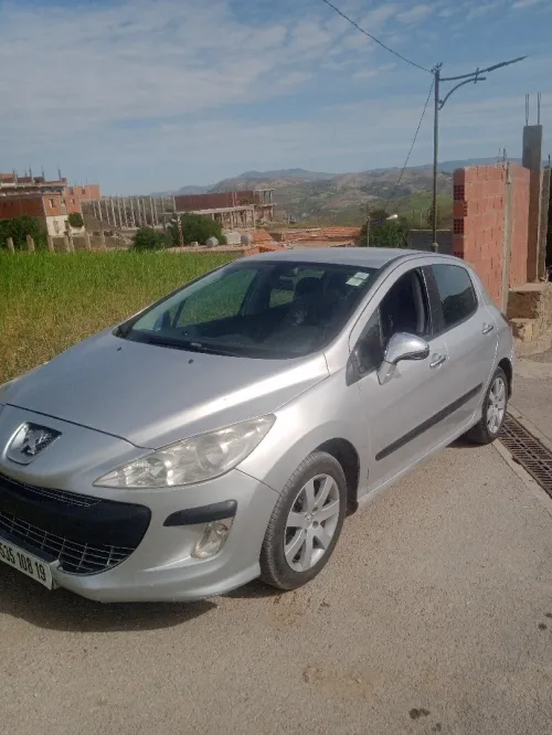 308 Pijo 2008 