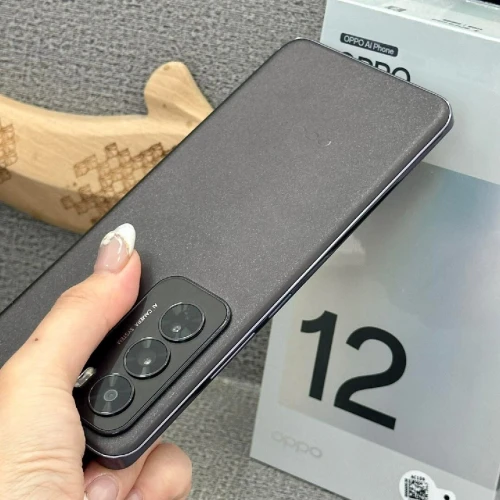 Oppo Reno 12 ( stockage 512 / 12 )
