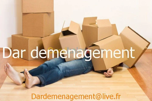 DEMENAGEMENT / TRANSPORT /  LIVRAISON 