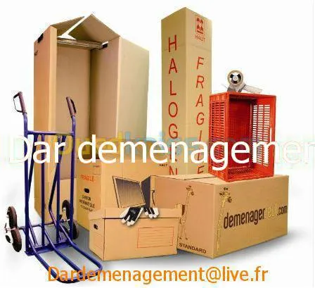 DEMENAGEMENT / TRANSPORT /  LIVRAISON 