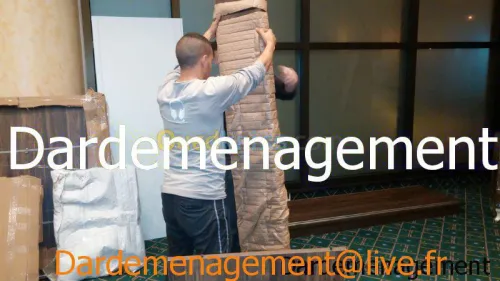 DEMENAGEMENT / TRANSPORT /  LIVRAISON 