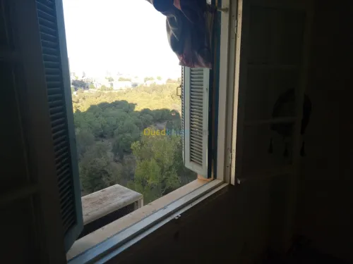 Vente Appartement F3 Oran Bir el djir