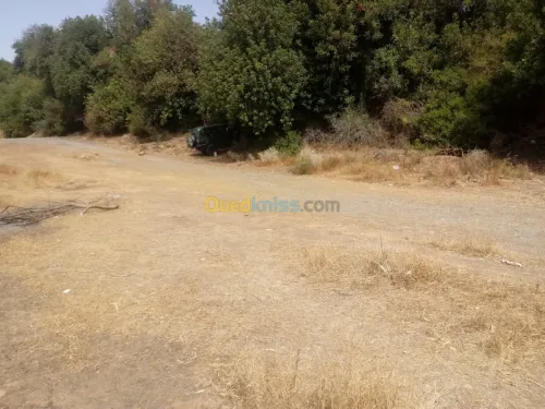 Vente Terrain Bouira Kadiria