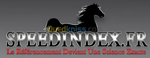 Référencement pro 1er sur Google SEO