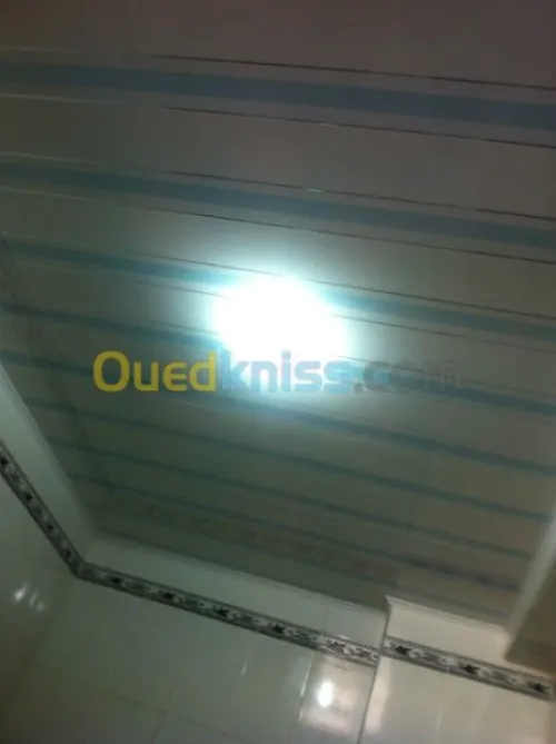 pose de faux.plafond en pvc