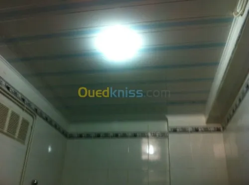 pose de faux.plafond en pvc