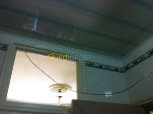 pose de faux.plafond en pvc