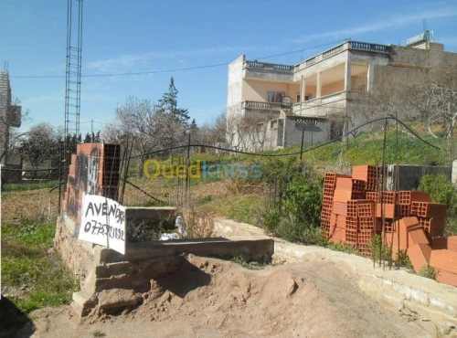 Vente Terrain Tlemcen Nedroma