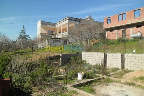 Vente Terrain Tlemcen Nedroma