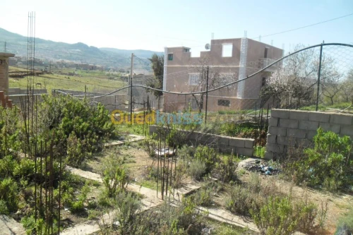 Vente Terrain Tlemcen Nedroma