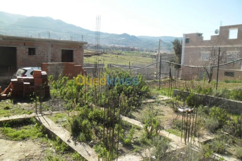 Vente Terrain Tlemcen Nedroma