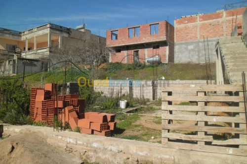 Vente Terrain Tlemcen Nedroma