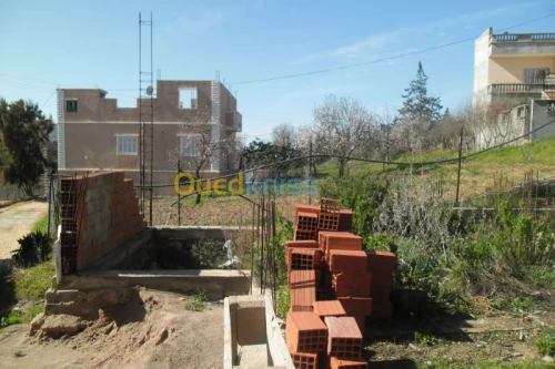 Vente Terrain Tlemcen Nedroma