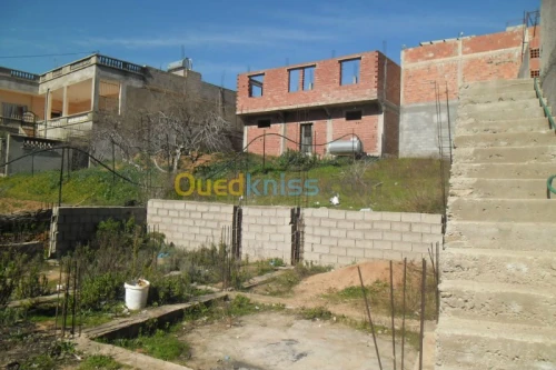 Vente Terrain Tlemcen Nedroma