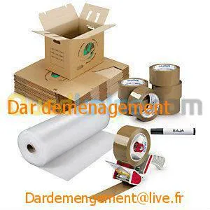 DEMENAGEMENT TRANSPORT & MANUTENTIONS