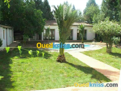 vente gazon et les plantes en gros