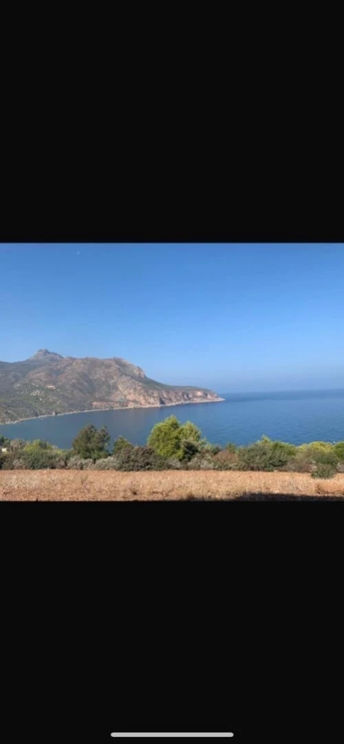Vente Terrain Chlef Tenes