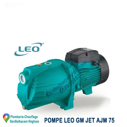 Pompe à eau et Cerveau LEO 