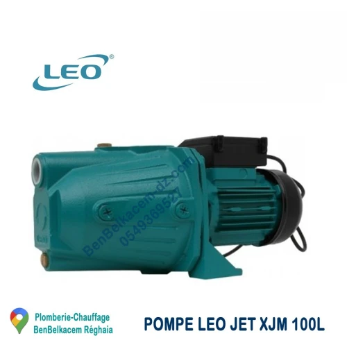 Pompe à eau et Cerveau LEO 