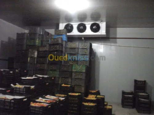 conservation des fruits et légumes 