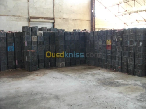 conservation des fruits et légumes 