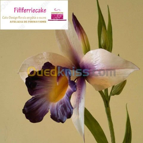 pâtisseries, gateaux , traditionnels