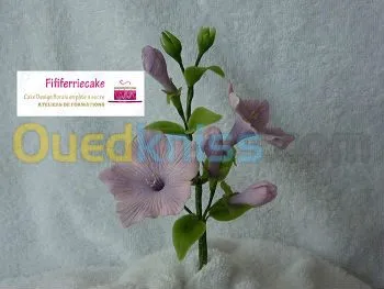 pâtisseries, gateaux , traditionnels