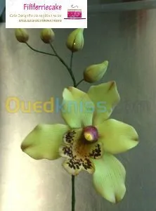 pâtisseries, gateaux , traditionnels