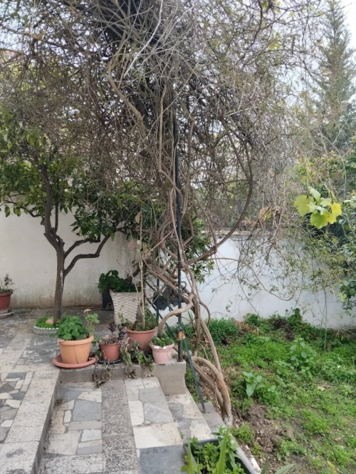 Vente Villa Annaba Annaba