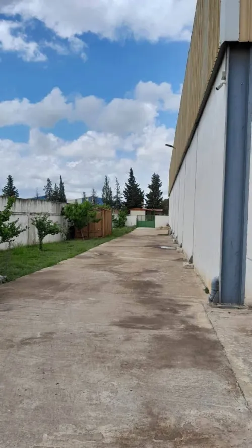 Location Hangar - Usine Annaba Annaba
