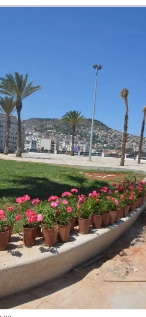 Location vacances Appartement F3 Alger Bab el oued