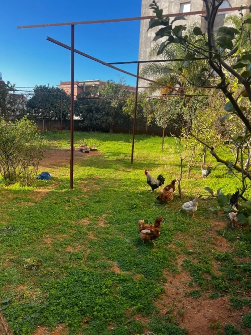 Location Villa Boumerdès Boumerdes