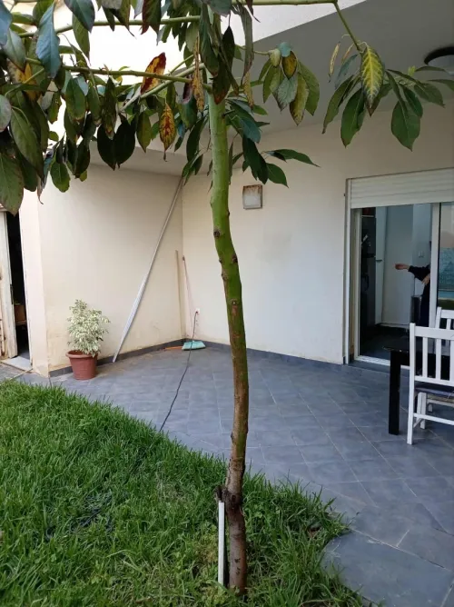 Location vacances Villa Tipaza Fouka