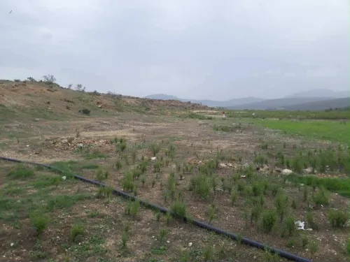 Vente Terrain Skikda Azzaba