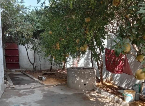 Vente Villa El Tarf Echatt
