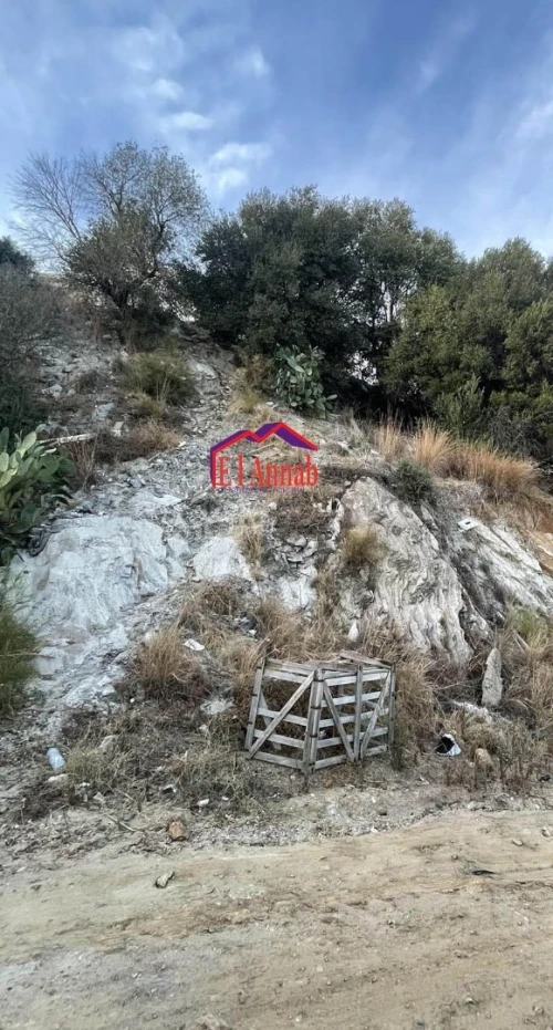 Vente Terrain Annaba Annaba
