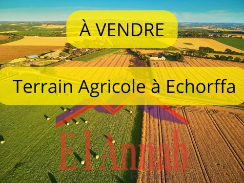 Vente Terrain Agricole Annaba Cheurfa