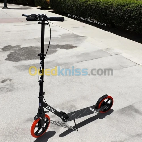 Trottinette Règlable pliable pour adultes