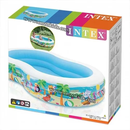 Piscine Familiale Paradise Gonflable 262 x 160 x 46 cm - INTEX
