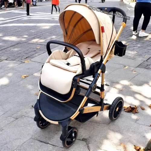 Poussette Rèversible 3 Pièces avec Maxi cosi et sac à Langer-Popypapa