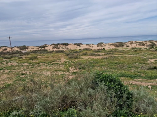 Vente Terrain Mostaganem Mostaganem