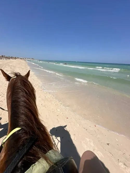 VOYAGE ORGANISE DJERBA NOVEMBRE 2025