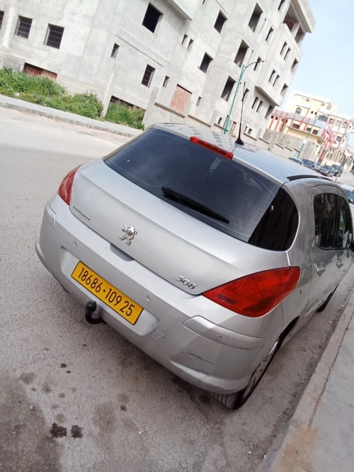 Peugeot 308 2009 Activ